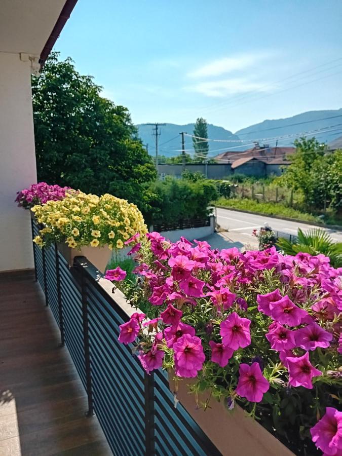 Belov Rooms And Apartments Демир-Капія Екстер'єр фото